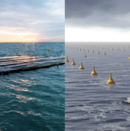 Newsbild-EU-SCORES Project aims to deliver ‘world-first’ bankable hybrid offshore marine energy parks